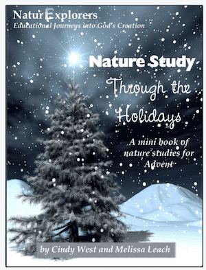 make holiday traditions with Naturexplorers nature study through the holidays
