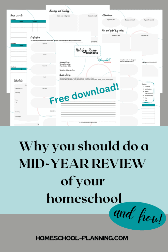 why you should do a mid-year review pin