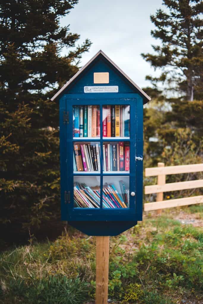 A blue little library book exchange box on a stand in a field. donate used homeschool books here