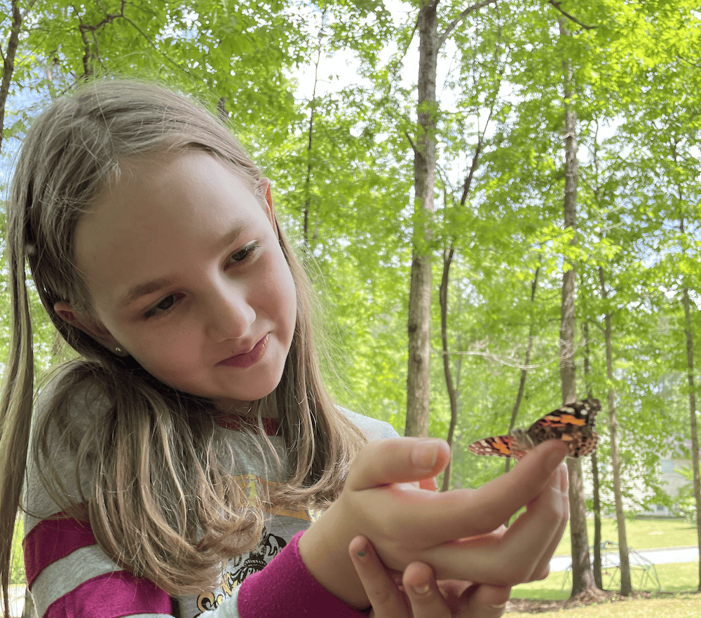 girl looking at a butterfly on her fingers
