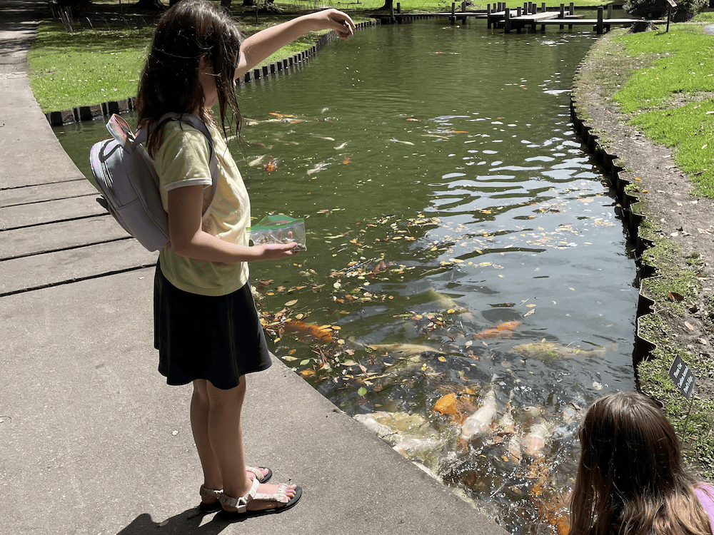 two girls feeding fish in a stream
