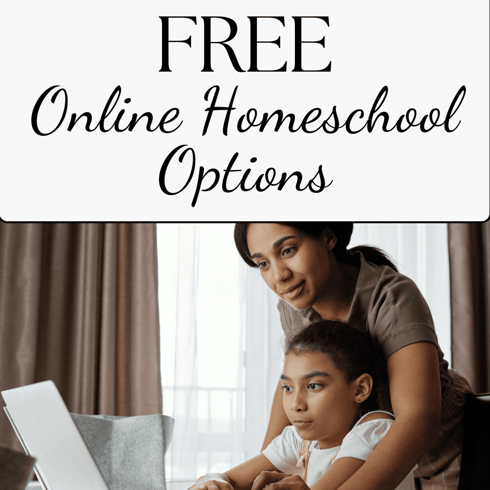 free online homeschool. mom and daughter looking at computer