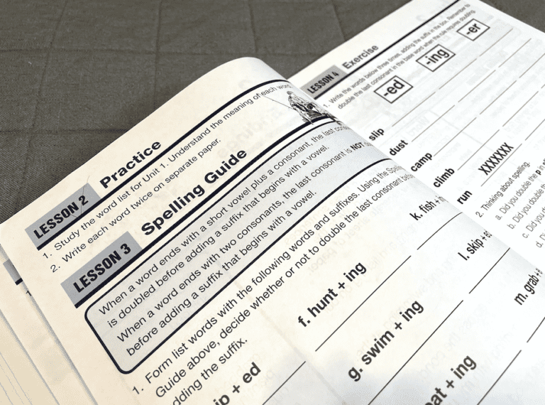 17 Ideas for Organizing Daily Homeschool Work So Your Kids Know What to ...