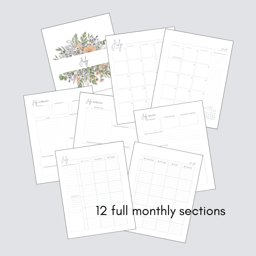 12 full dated monthly sections