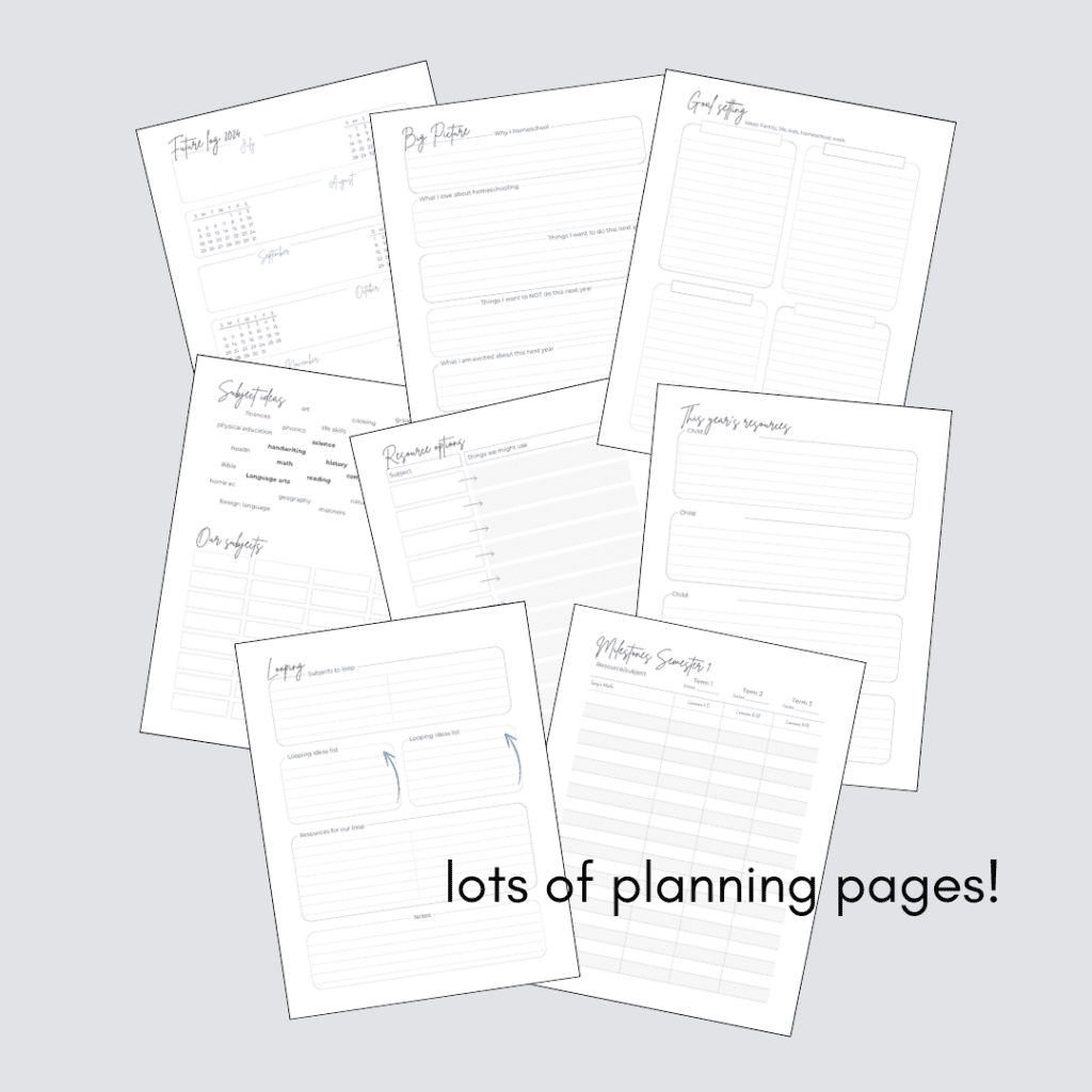 lots of planning pages