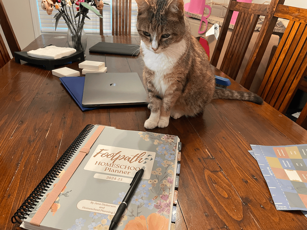 cat looking at a footpath homeschool planner