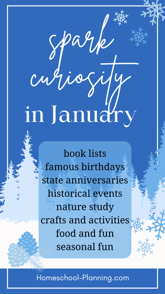 spark curiosity in January  learning ideas. pin image