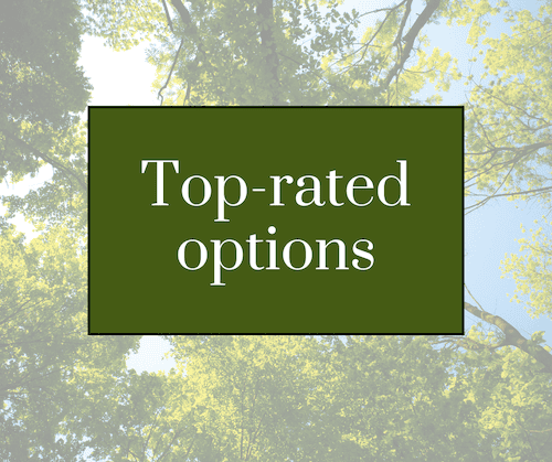 top-rated options