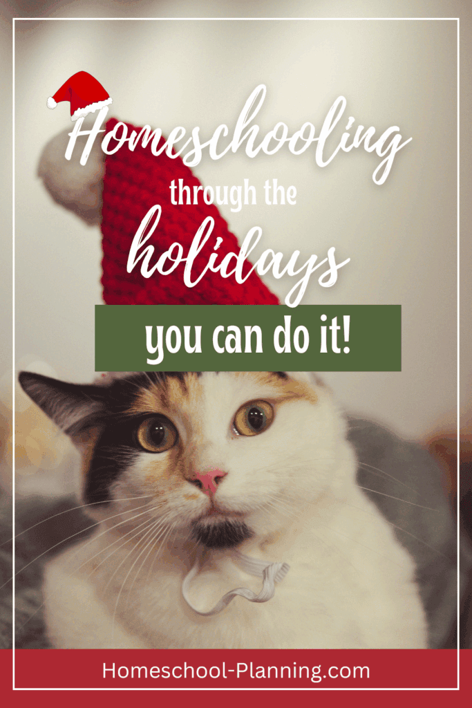 homeschooling through the holidays - you can do it! pin image with cat in santa hat